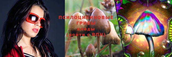 гашик Бугульма