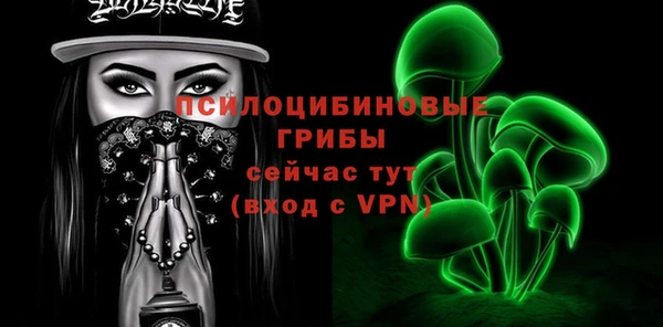 эйфоретик Бородино