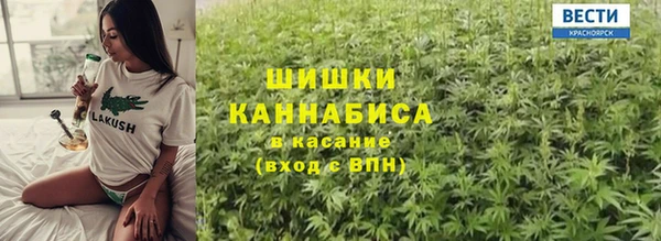 эйфоретик Бородино
