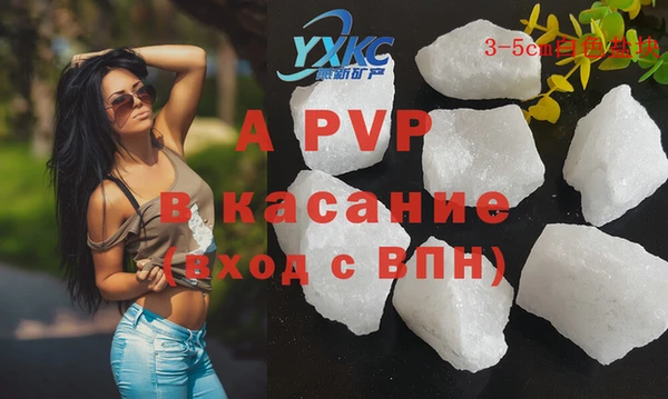эйфоретик Бородино
