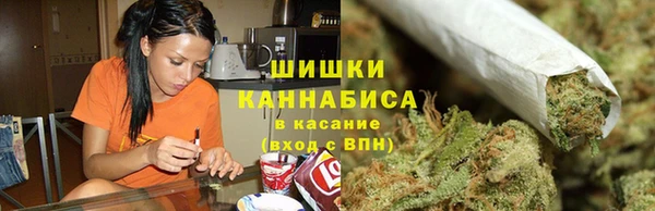 круглые Гусев