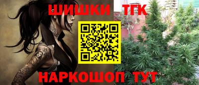 ешки Будённовск