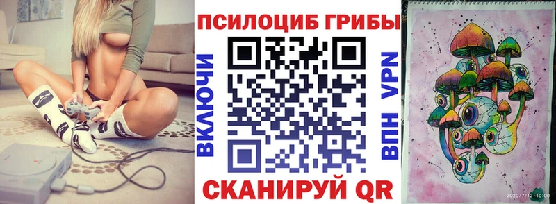 Галлюциногенные грибы мицелий  где можно купить   Вичуга 