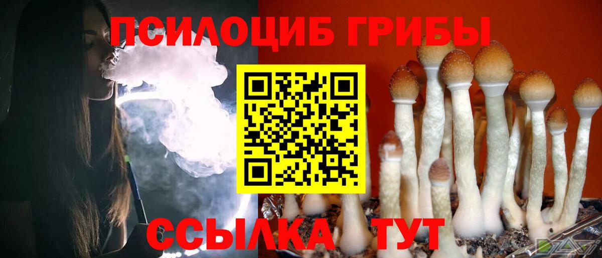 Псилоцибиновые грибы Psilocybine cubensis  Вичуга  Псилоцибиновые грибы Cubensis 