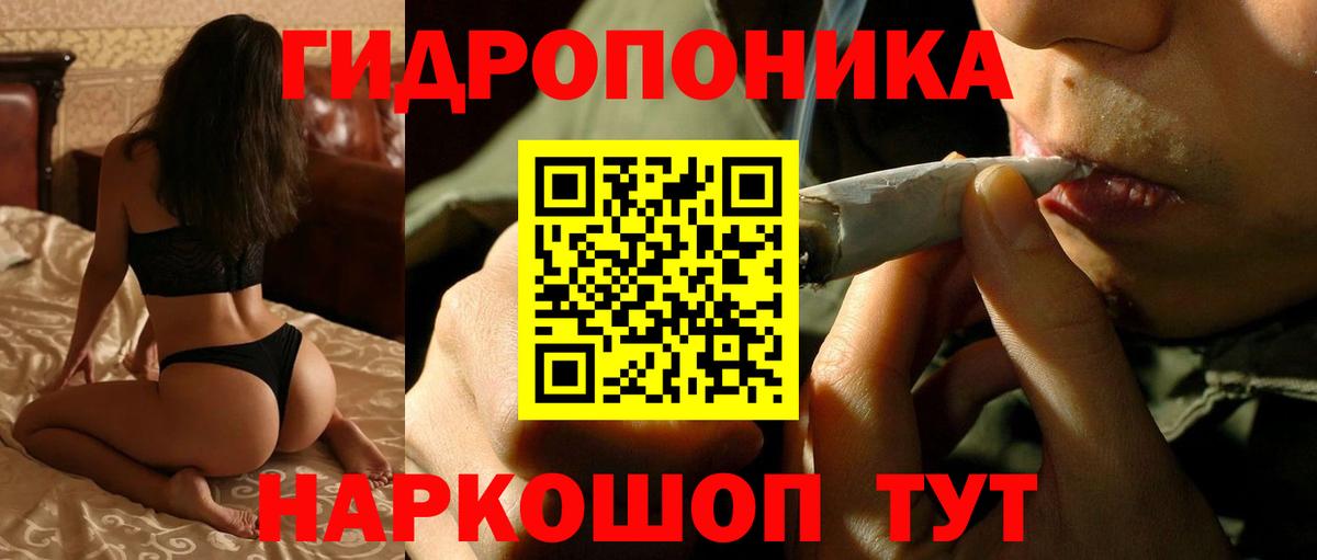 Бошки Шишки MAZAR  Вичуга  Конопля планчик  Конопля SATIVA & INDICA 